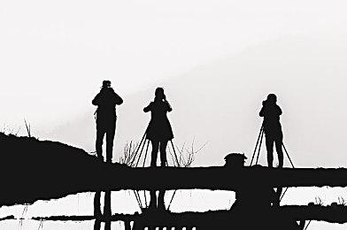 奇幻解谜游戏《鼠鼠骑士》Steam页面上线 支持简体中文